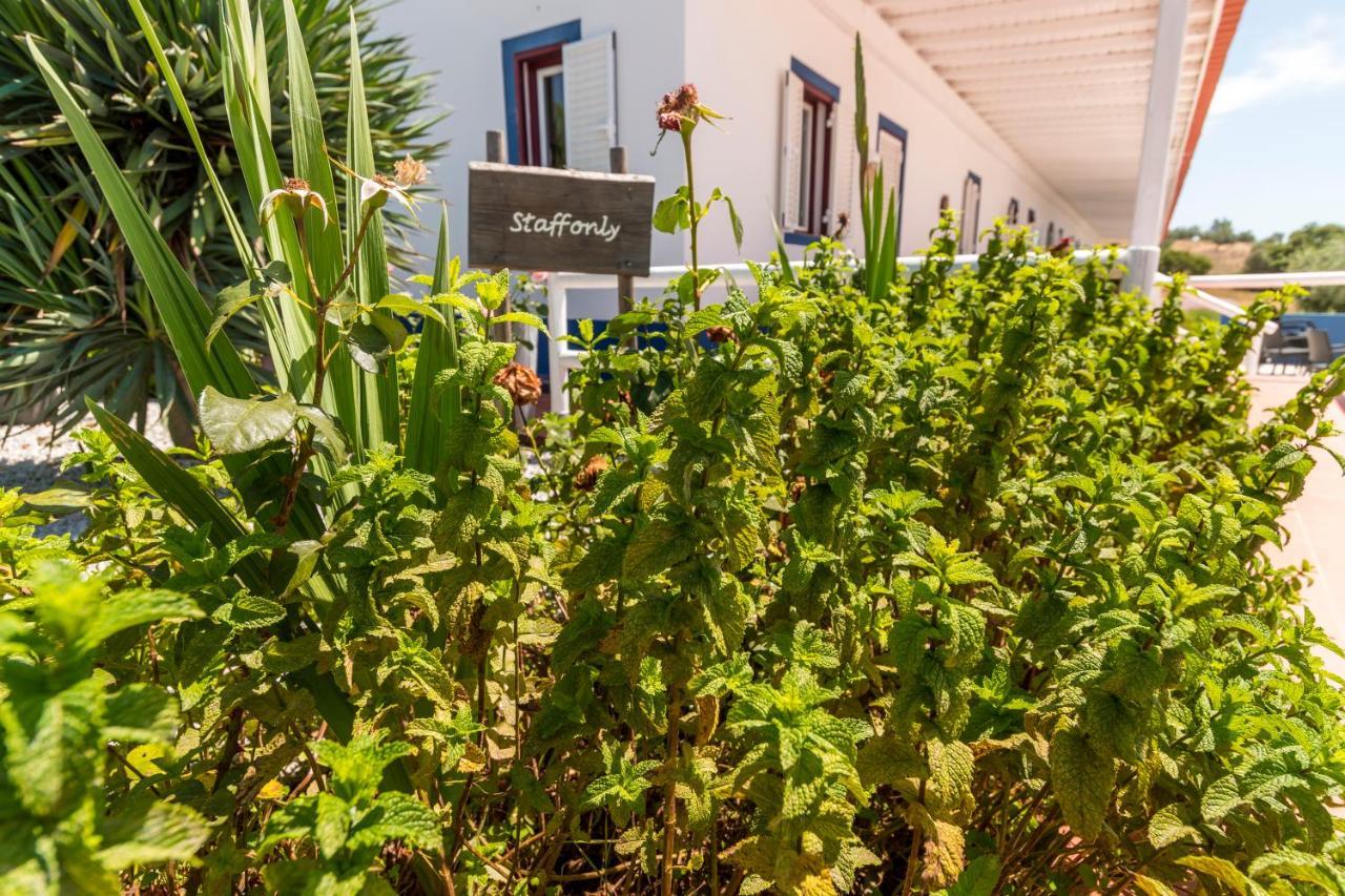Monte Da Cabeca Gorda Bed & Breakfast Alcacovas Ngoại thất bức ảnh